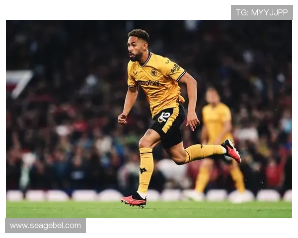 穆杰莱劲射首开纪录休姆中柱憾失良机桑德兰半场一球领先狼队 穆杰莱劲射首开纪录休姆中柱憾失良机桑德兰半场一球领先狼队