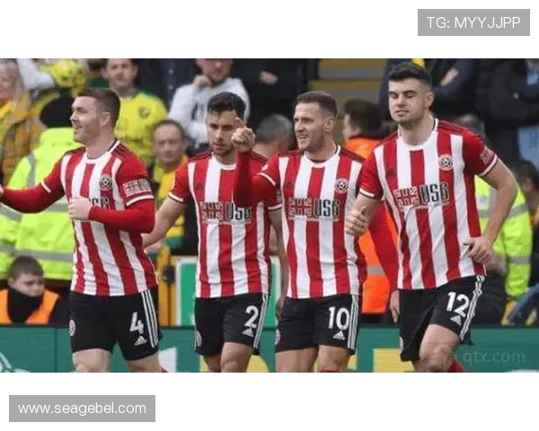 桑德兰主场完胜狼队穆杰莱建功克雷伊奇送乌龙助攻 桑德兰主场完胜狼队穆杰莱建功克雷伊奇送乌龙助攻